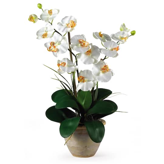 Nearly Natural; 25" Cream Double Phalaenopsis Silk Orchid Flower Arrangement in Ceramic Pot; Category:Tabletop Floral Arrangements; Image:1